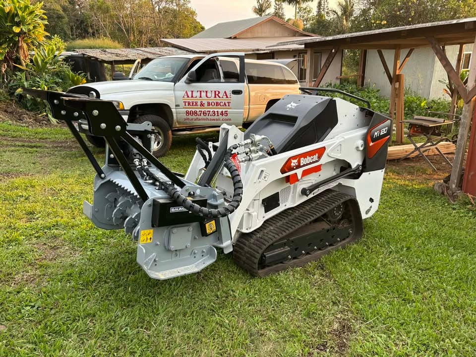 Bobcat mini track loader clearing land among tropical trees in Hawaii
